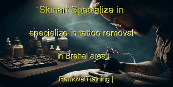 Skinart Specialize in specialize in tattoo removal in Brehal area | RemovalTraining | RemovalClasses | SkinartTraining-France